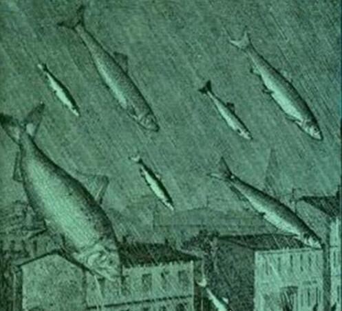 世界十大自然奇观 空中降鱼成为免费的午餐