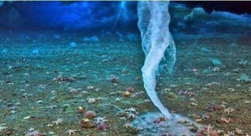 世界十大自然奇观 空中降鱼成为免费的午餐