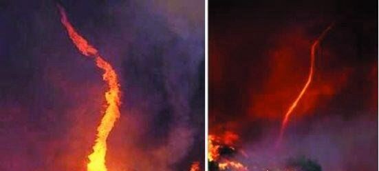 世界十大自然奇观 空中降鱼成为免费的午餐