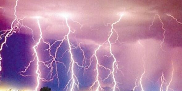 世界十大自然奇观 空中降鱼成为免费的午餐