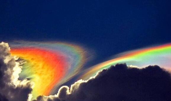 世界十大自然奇观 空中降鱼成为免费的午餐