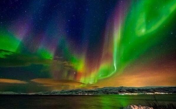 世界十大自然奇观 空中降鱼成为免费的午餐