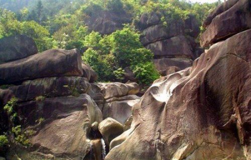 福建四大名山 武夷山闻名天下拥有近5000种野生动物