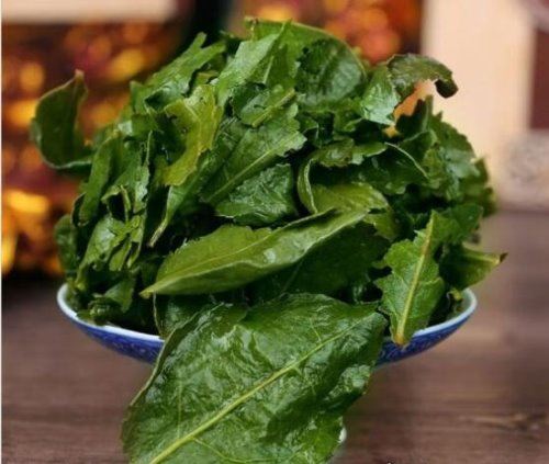 铁观音属于什么茶系 其实并不是绿茶(而是乌龙茶)