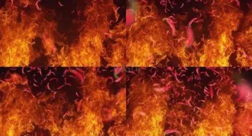 四点底的字大多与什么有关