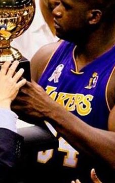 NBA十大冠军戒指最多的球星排行榜