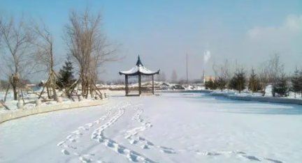 2022年大寒是农历几月几日