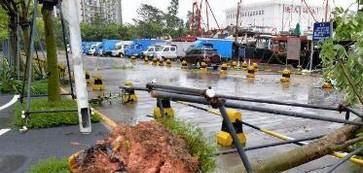 台风来了怎么办？如何预防台风