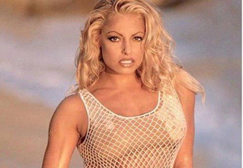 WWE中最美的七大美女选手(已退役) 托瑞·威尔森最美