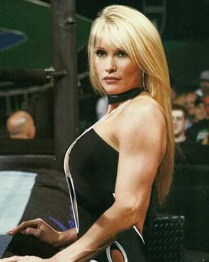 WWE中最美的七大美女选手(已退役) 托瑞·威尔森最美