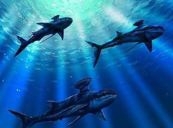 泥盆纪十大恐怖生物 邓氏鱼顶级掠食者鲨鱼都害怕