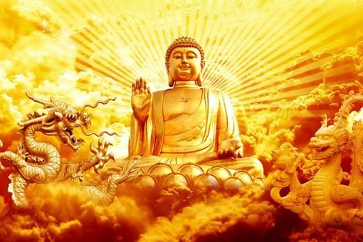 唐僧是金蝉子转世 那么金蝉子是什么动物呢？