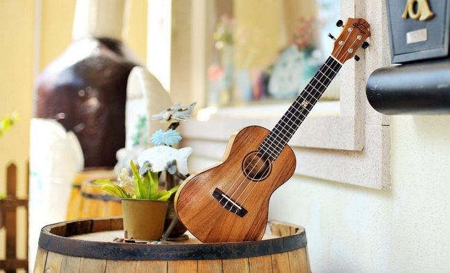 十大最好学的乐器 葫芦丝最简单