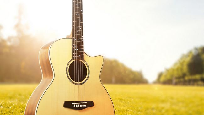 十大最好学的乐器 葫芦丝最简单