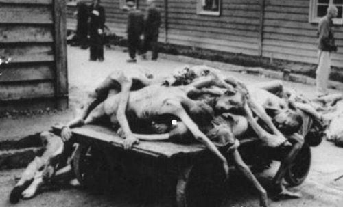 纳粹羞辱残杀妇女恐怖真实黑镜头 妇女儿童成为人体试验品