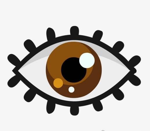 人的五官指什么 眼/耳/鼻/眉/口(人体的五种感觉器官)