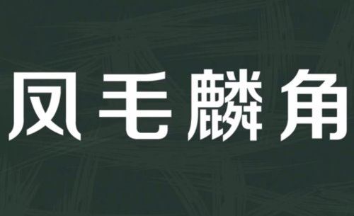 凤毛麟角是什么意思