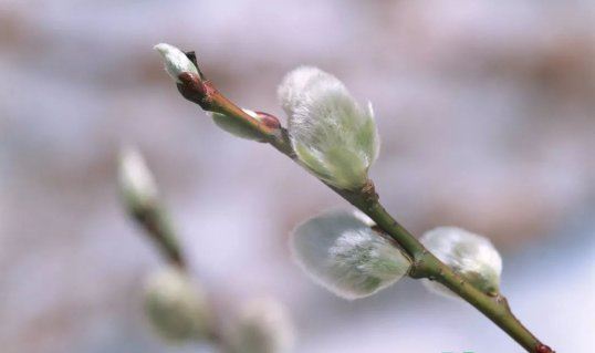 2022年躲春是一天还是一小时