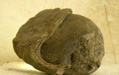 龙涎香是什么东西 是抹香鲸的便便(也是香精的重要组成部分)