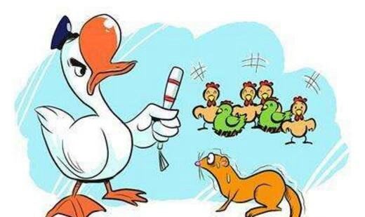 黄鼠狼怕什么东西 黄鼠狼居然会被鹅屎给吓到