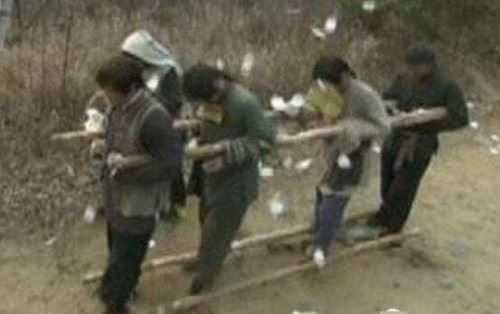 湖南僵尸村是真的吗？湖南僵尸村图片腐烂僵尸喝血食肉