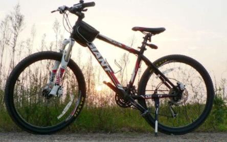 山地自行车品牌排行 捷安特排第一