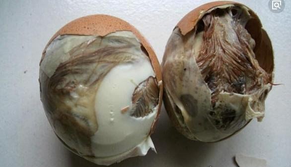 盘点全球十大最奇葩的食物 正在吃饭的人慎点(太恶心)