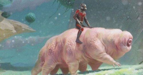 生命力最强的生物 水熊虫寿命是多少年(研究尚在继续)