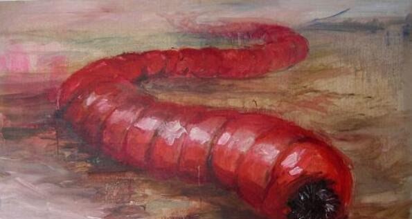 科幻般的蒙古死亡蠕虫真的存在 能放出强电流秒杀数米外生物