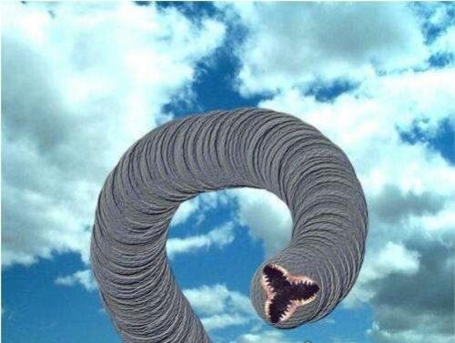 科幻般的蒙古死亡蠕虫真的存在 能放出强电流秒杀数米外生物