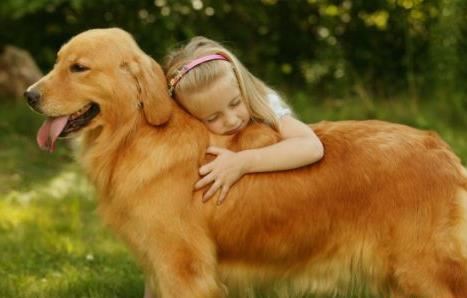 最聪明的狗排名 狗狗的智商排名