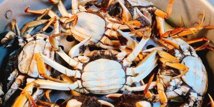 螃蟹蒸多久才能杀死寄生虫