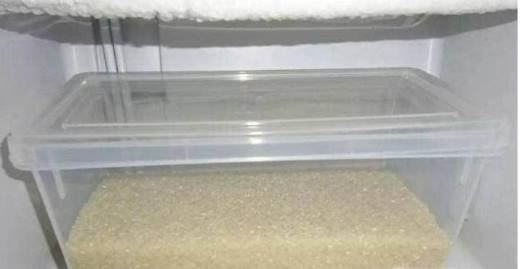 大米生虫了怎么办？
