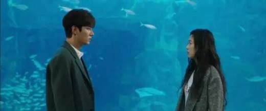 十大必看韩剧排行榜