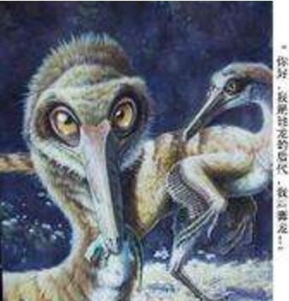 地球史上最大的恐龙 易碎双腔龙(长达50米/重100吨)