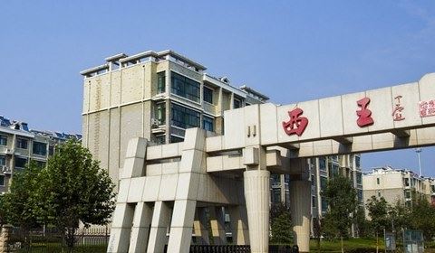 中国最有钱的村排行榜 江苏华西村最富有（年收入500亿）