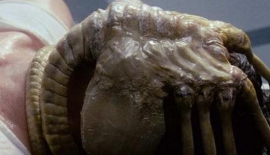 异常血腥的抱脸虫让人作呕 被抱脸虫抱过的脸图片