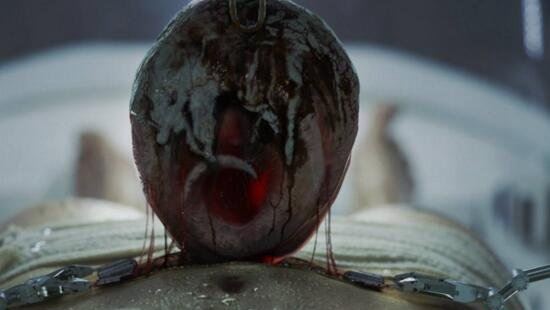 异常血腥的抱脸虫让人作呕 被抱脸虫抱过的脸图片