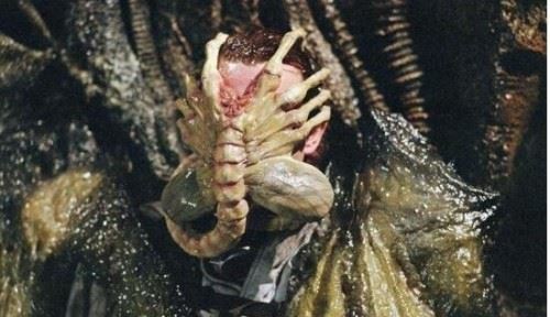 异常血腥的抱脸虫让人作呕 被抱脸虫抱过的脸图片