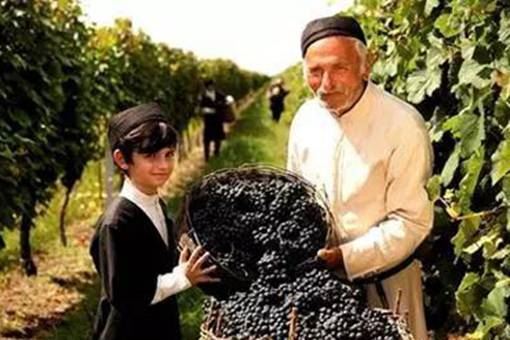 格鲁吉亚红酒什么档次？揭秘格鲁吉亚的红酒文化