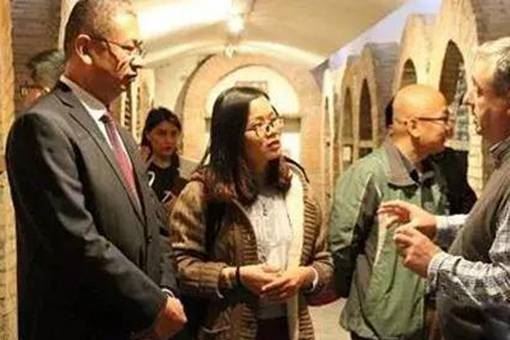 格鲁吉亚红酒什么档次？揭秘格鲁吉亚的红酒文化