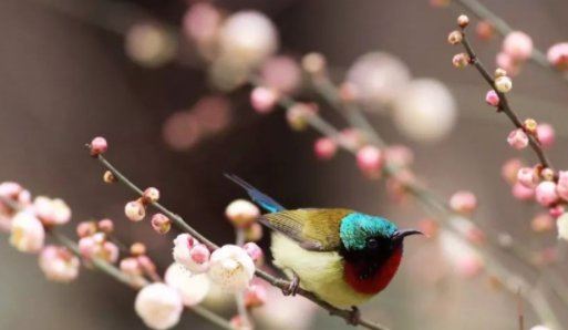 孩子为什么要躲春躲年2022