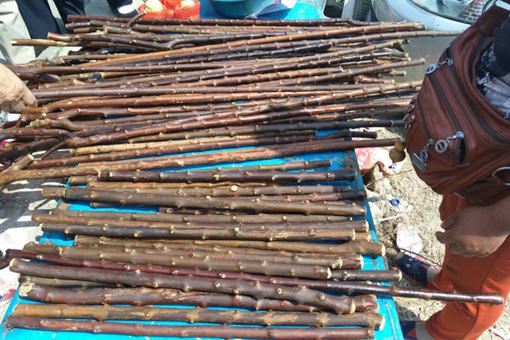 穆桂英用的降龙木到底是什么？历史上真有降龙木吗？