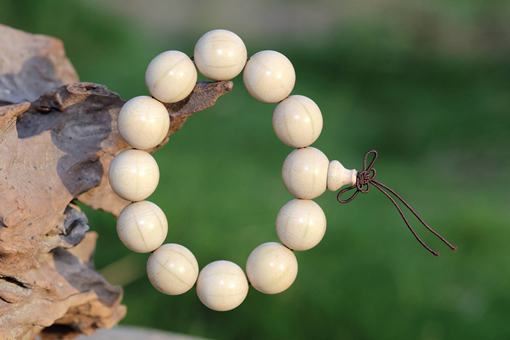 穆桂英用的降龙木到底是什么？历史上真有降龙木吗？