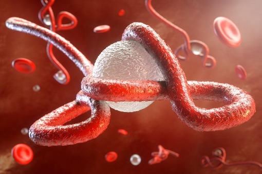 埃博拉病毒怎么消失了 埃博拉病毒有疫苗了吗