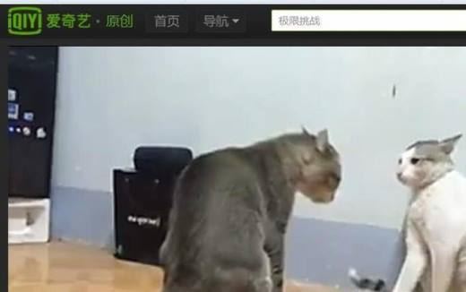 教你怎样下载网页上的视频 网页视频下载保存