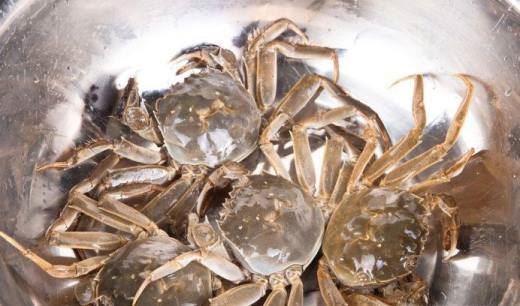 螃蟹怎么蒸啊