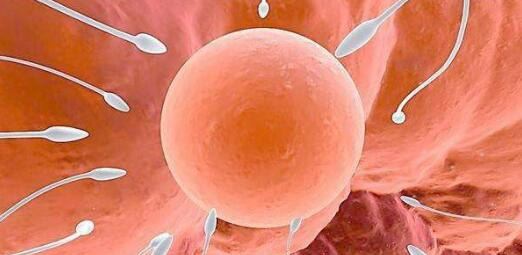 为什么说人类繁衍的方式太恶心了 目前人类繁殖的正确方式