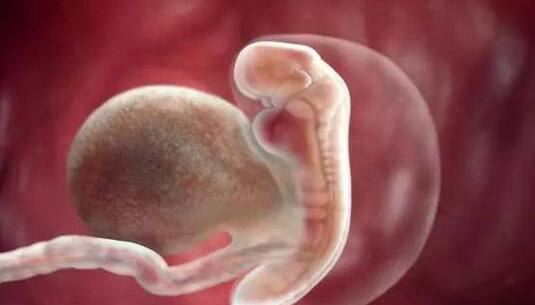 为什么说人类繁衍的方式太恶心了 目前人类繁殖的正确方式