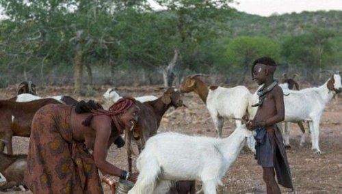 非洲纳米比亚辛巴族 女人袒胸露乳一辈子不洗澡